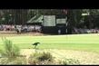 Dubuisson sur orbite