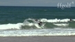 Surf et Golf dans les Landes